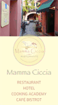 Mobile Screenshot of mammaciccia.it